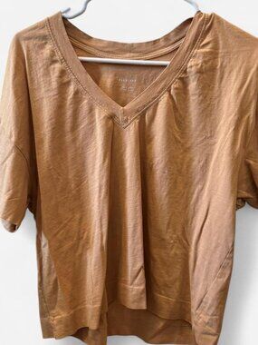 Everlane Organic Cotton Boxy Slouchy V-Neck Tee